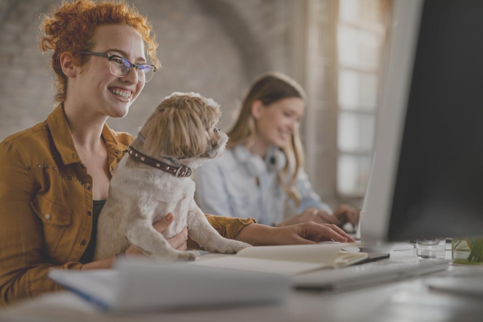 Professional workspace environment